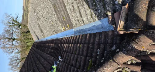 Rénovation chéneau à bardigues, Moissac, COITO MULTI SERVICES